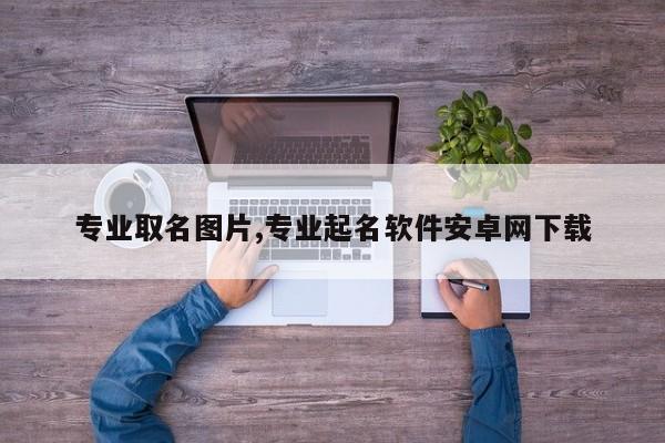专业取名图片,专业起名软件安卓网下载