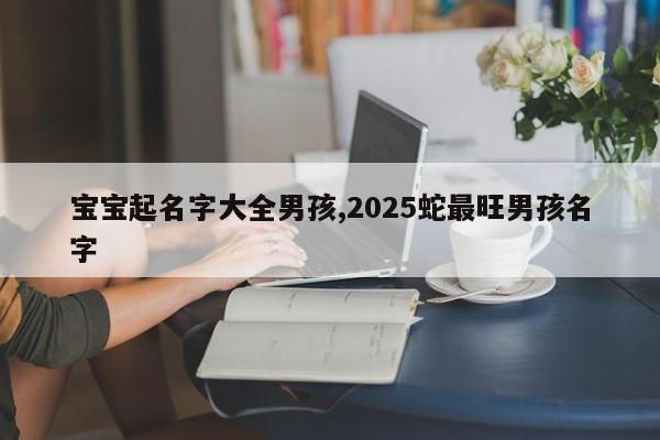 宝宝起名字大全男孩,2025蛇最旺男孩名字