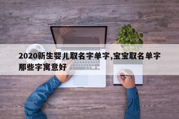 2020新生婴儿取名字单字,宝宝取名单字那些字寓意好